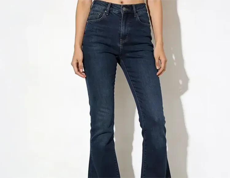 الزي الديمقراطي للعالم الحديث